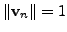 $ \Vert {\mathbf v}_n \Vert = 1$