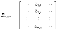 $ B_{n \times r} = \left[\begin{array}{ccc} \cdots & b_{1j} & \cdots \\
\cdots ...
... \\ \vdots & \vdots & \vdots \\
\cdots & b_{mj} & \cdots \\ \end{array}\right]$